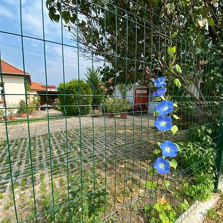 Mandula Haz Hotel Veszprem Bagian luar foto