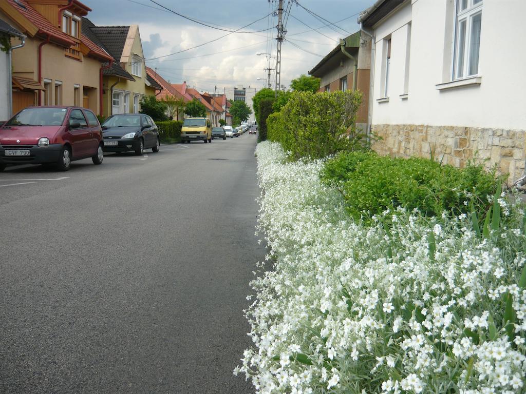 Mandula Haz Hotel Veszprem Bagian luar foto